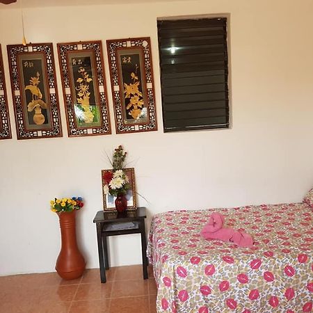 Bachelor Inn Hotel Ciudad de Belice Exterior foto