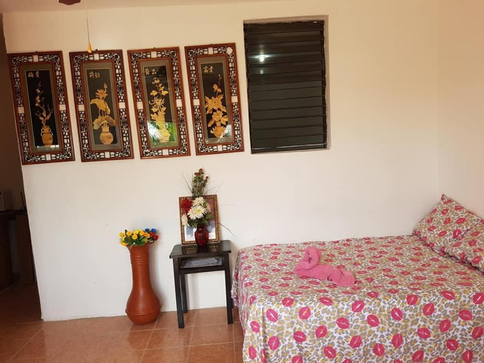 Bachelor Inn Hotel Ciudad de Belice Exterior foto